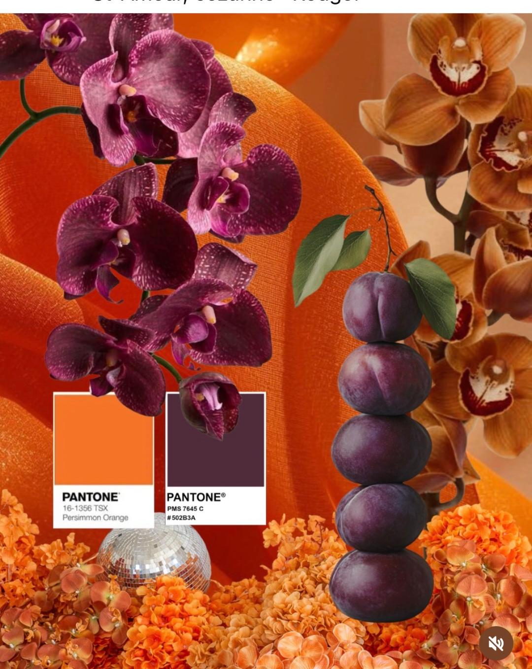 Pantone Persimmon Orange and deep plum wedding flower trend for 2026 featuring orchids and cymbidiums