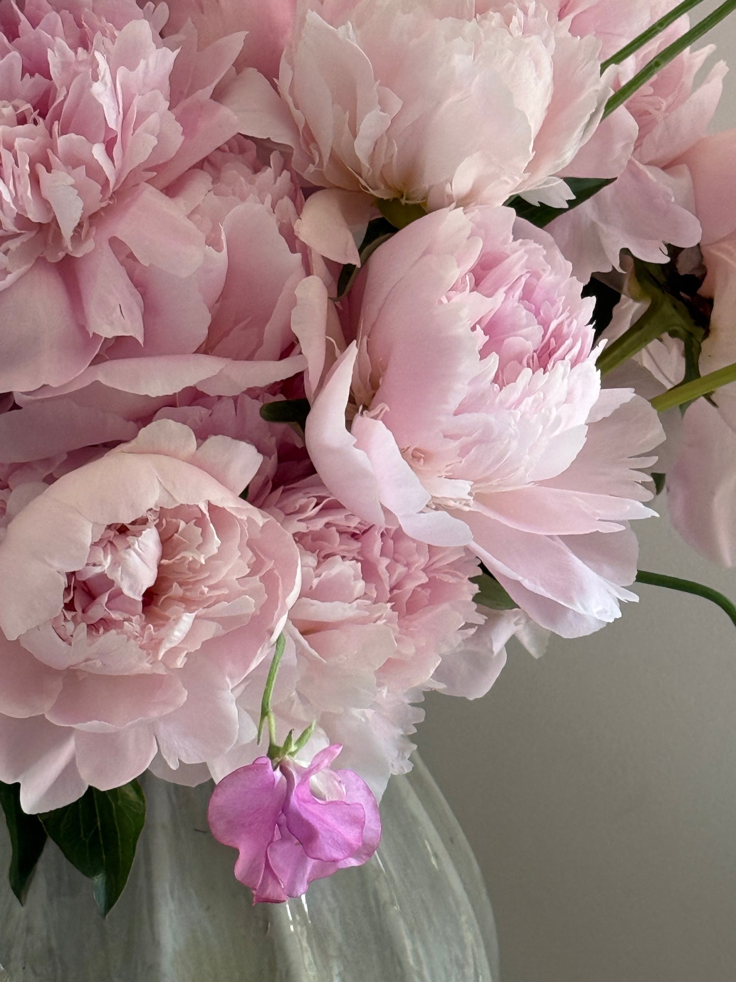 THE KILLARNEY - Luxury Peony Bouquet